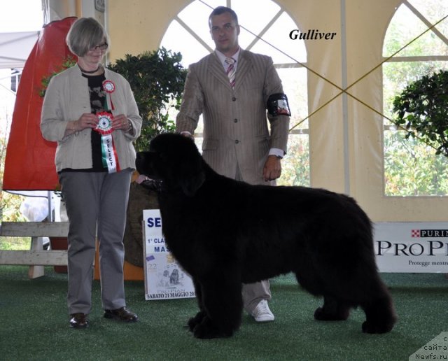 Фотография № 67784