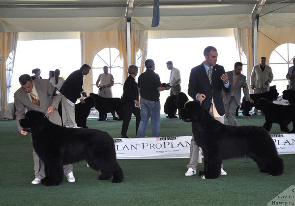 Фотография № 67786