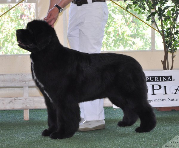 Фотография № 67788