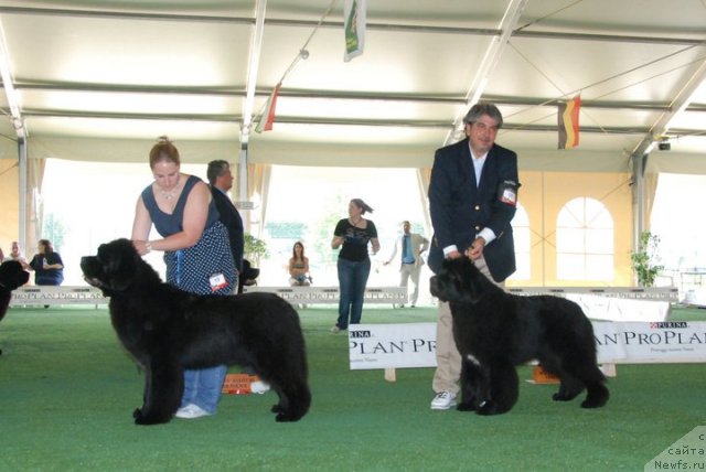 Фотография № 67791