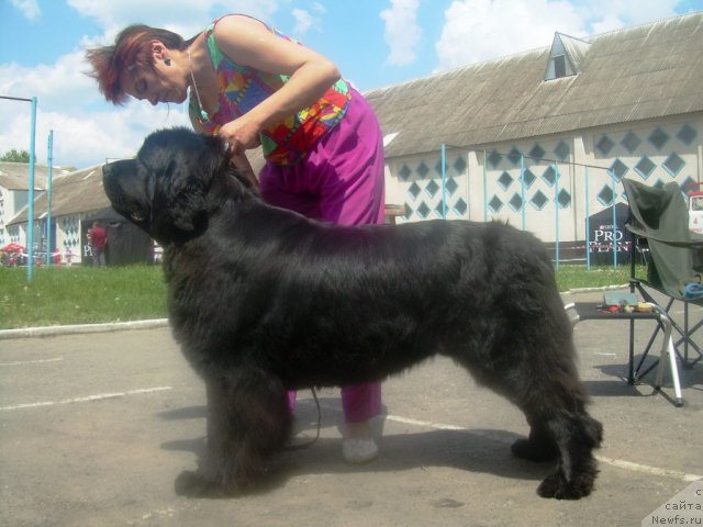 Фотография № 67825