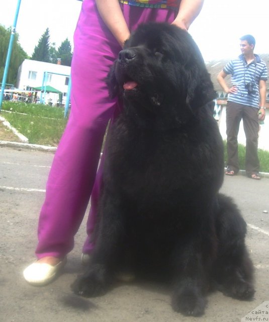 Фотография № 67828