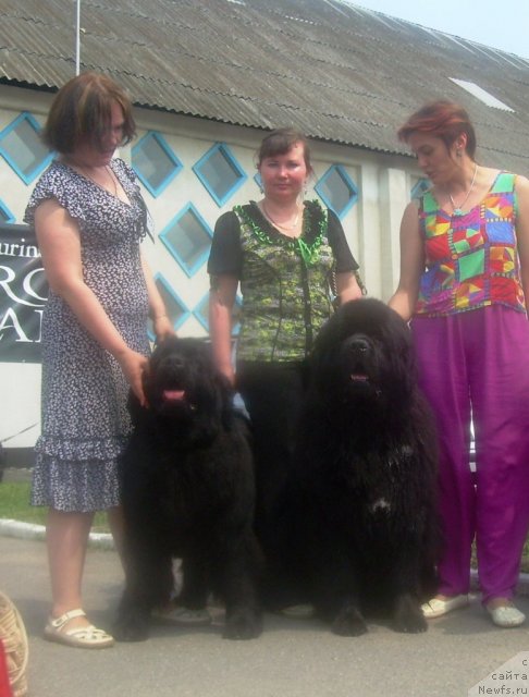 Фотография № 67833