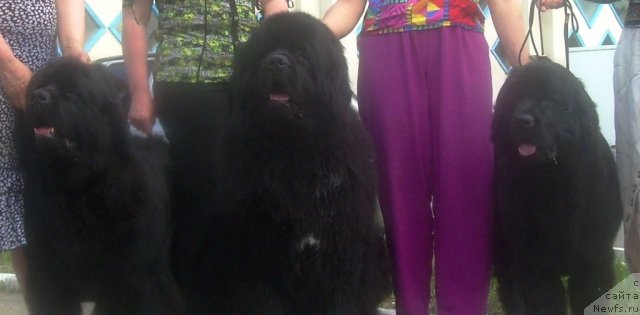 Фотография № 67835