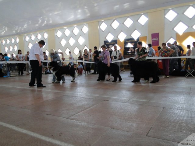 Фотография № 67847