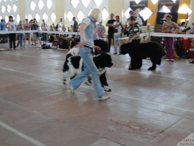 Фотография № 67849