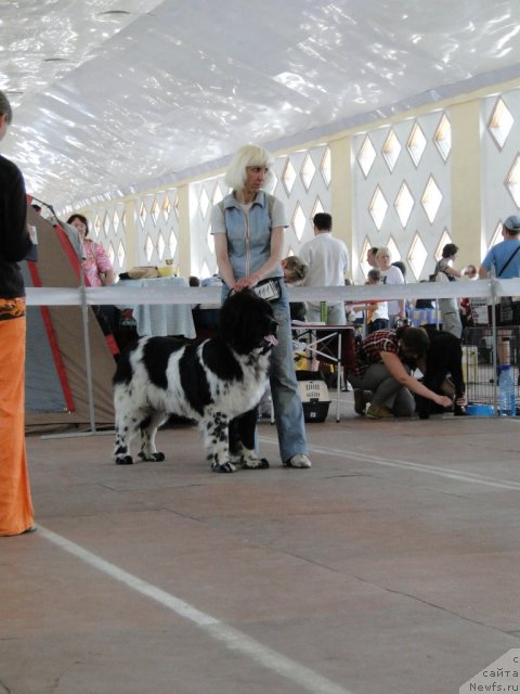 Фотография № 67850