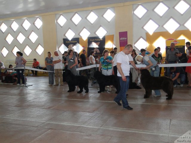 Фотография № 67854