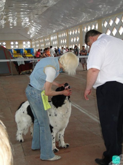 Фотография № 67856