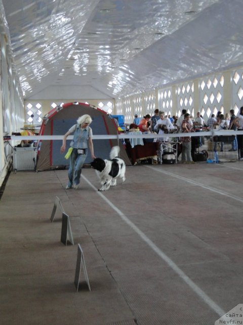 Фотография № 67858