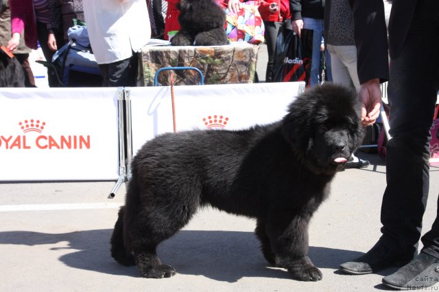 Фотография № 67860