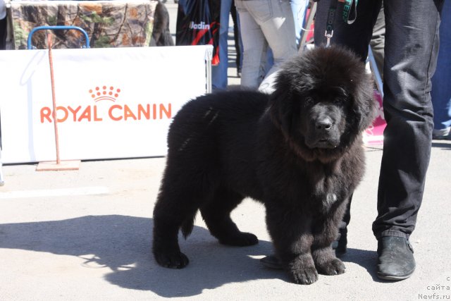 Фотография № 67861