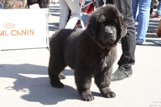 Фотография № 67863