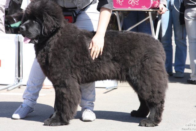 Фотография № 67864