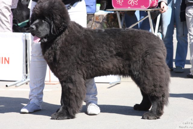 Фотография № 67865