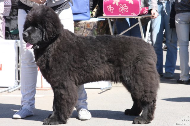 Фотография № 67866