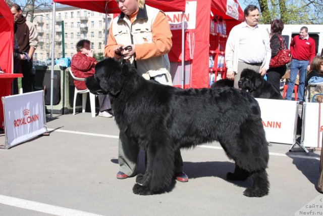 Фотография № 67867