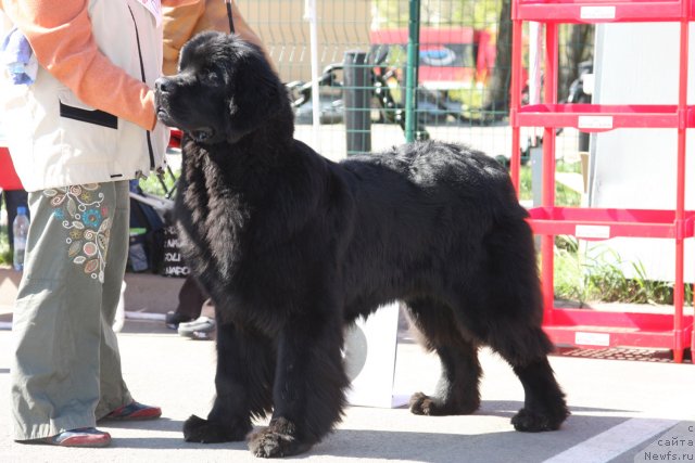 Фотография № 67869