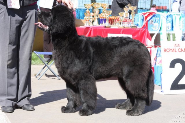 Фотография № 67874