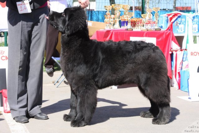 Фотография № 67875