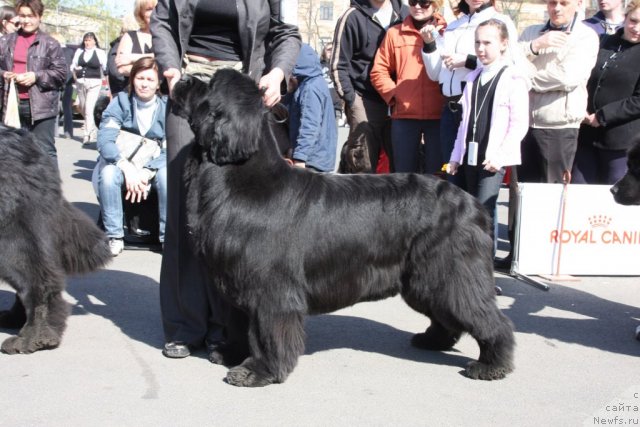 Фотография № 67876