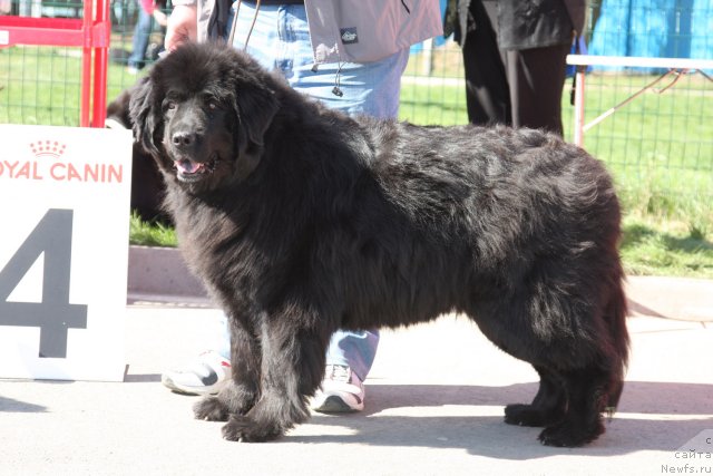 Фотография № 67877