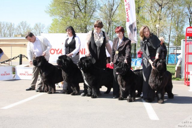 Фото: Производитель [d4325]