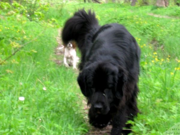 Фотография № 67932