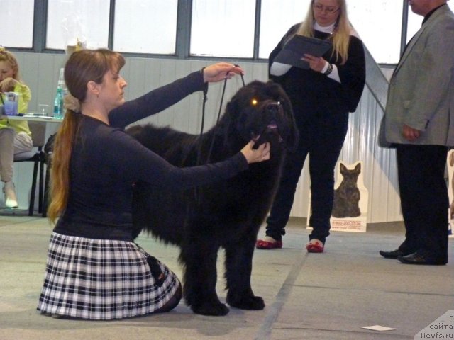 Фотография № 67987