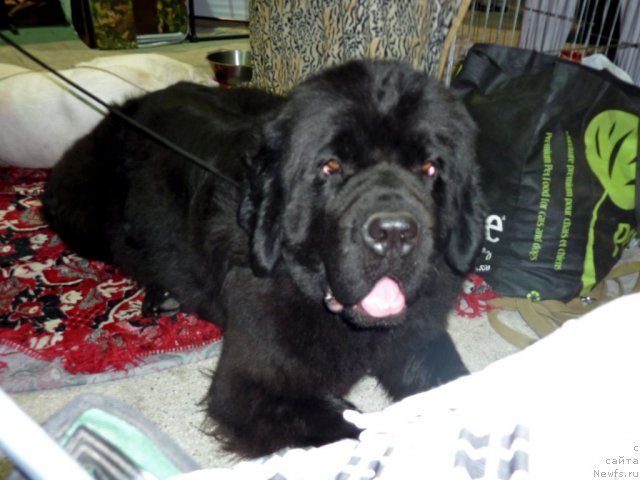 Фотография № 67993