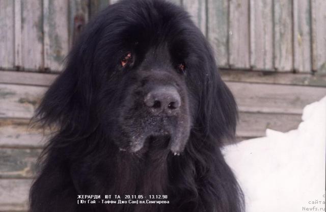 Фотография № 680