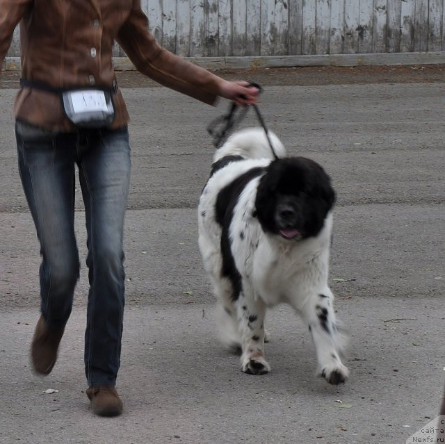 Фотография № 68045