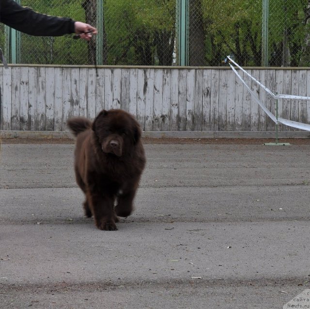 Фотография № 68046