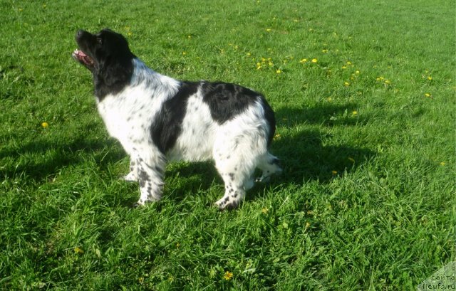 Фотография № 68053