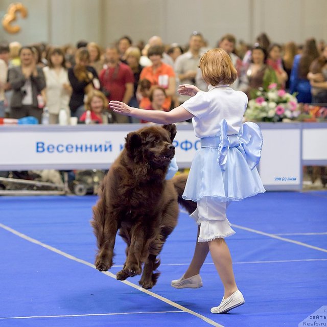 Фотография № 68054