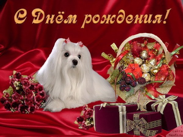 Фотография № 68066