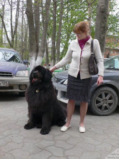 Фотография № 68112