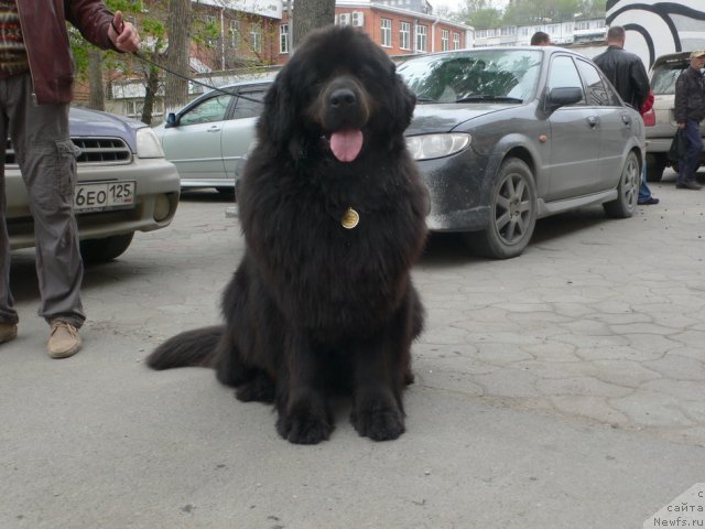 Фотография № 68113