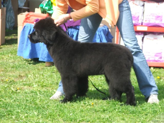 Фотография № 68136