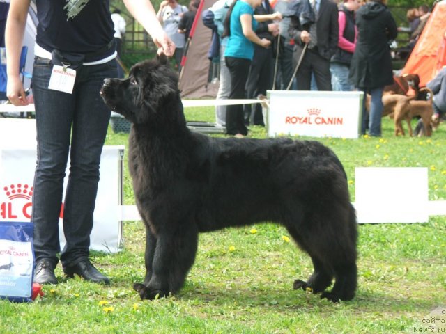 Фотография № 68142