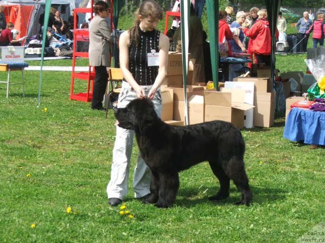 Фотография № 68145