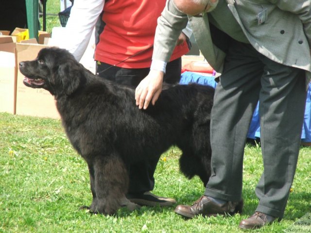 Фотография № 68155