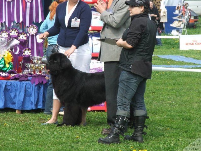 Фотография № 68156