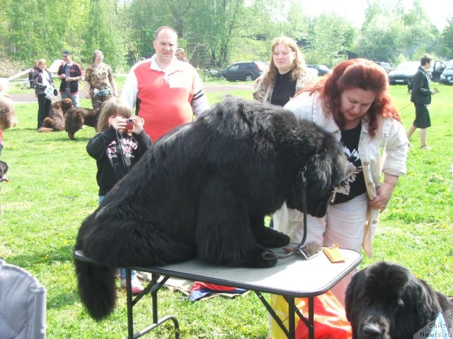 Фотография № 68157