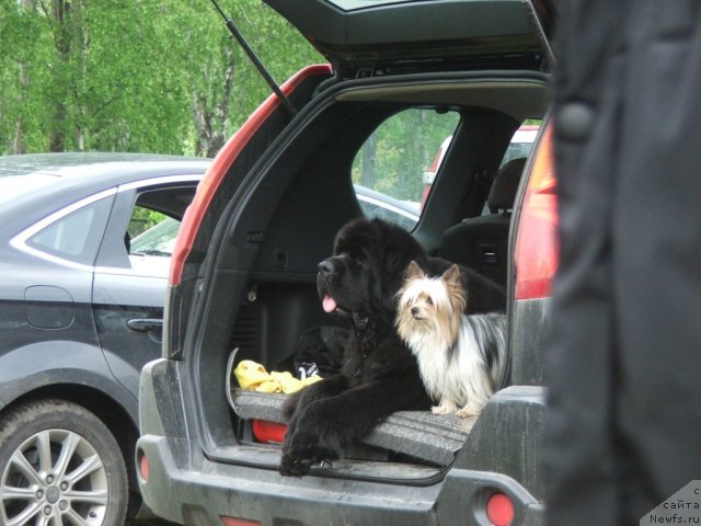 Фотография № 68159