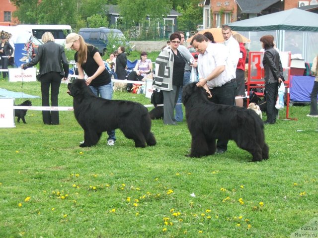 Фотография № 68161