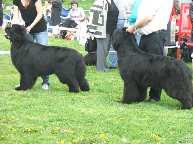 Фотография № 68162