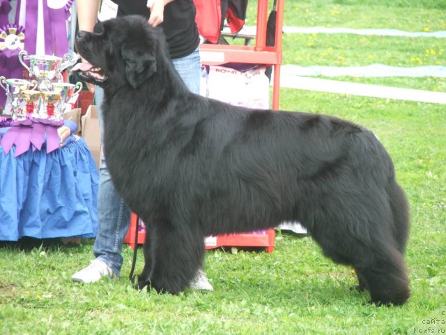 Фотография № 68165