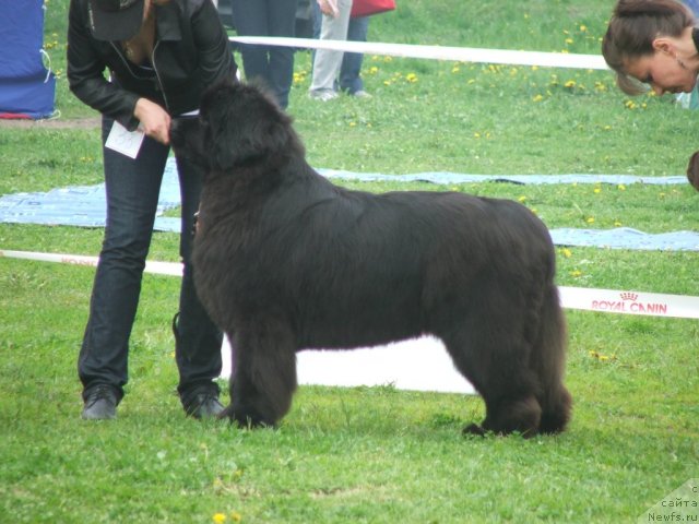 Фотография № 68181