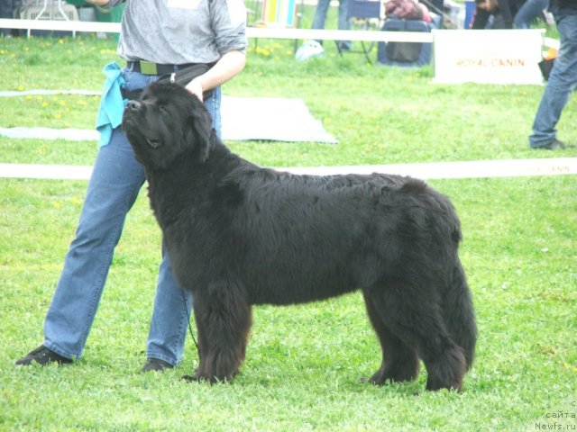 Фотография № 68182